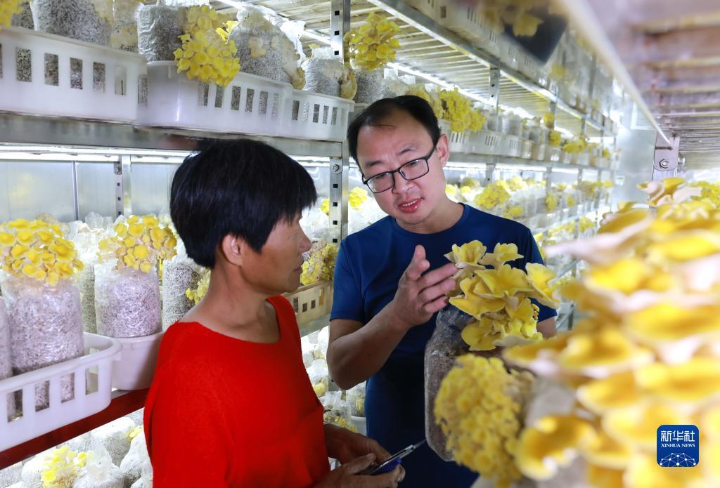 gpk官方网站